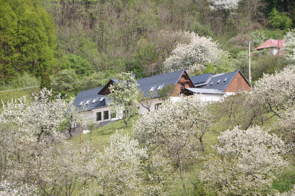 Sad nad Klingerom Pensionat Banská Štiavnica Exteriör bild