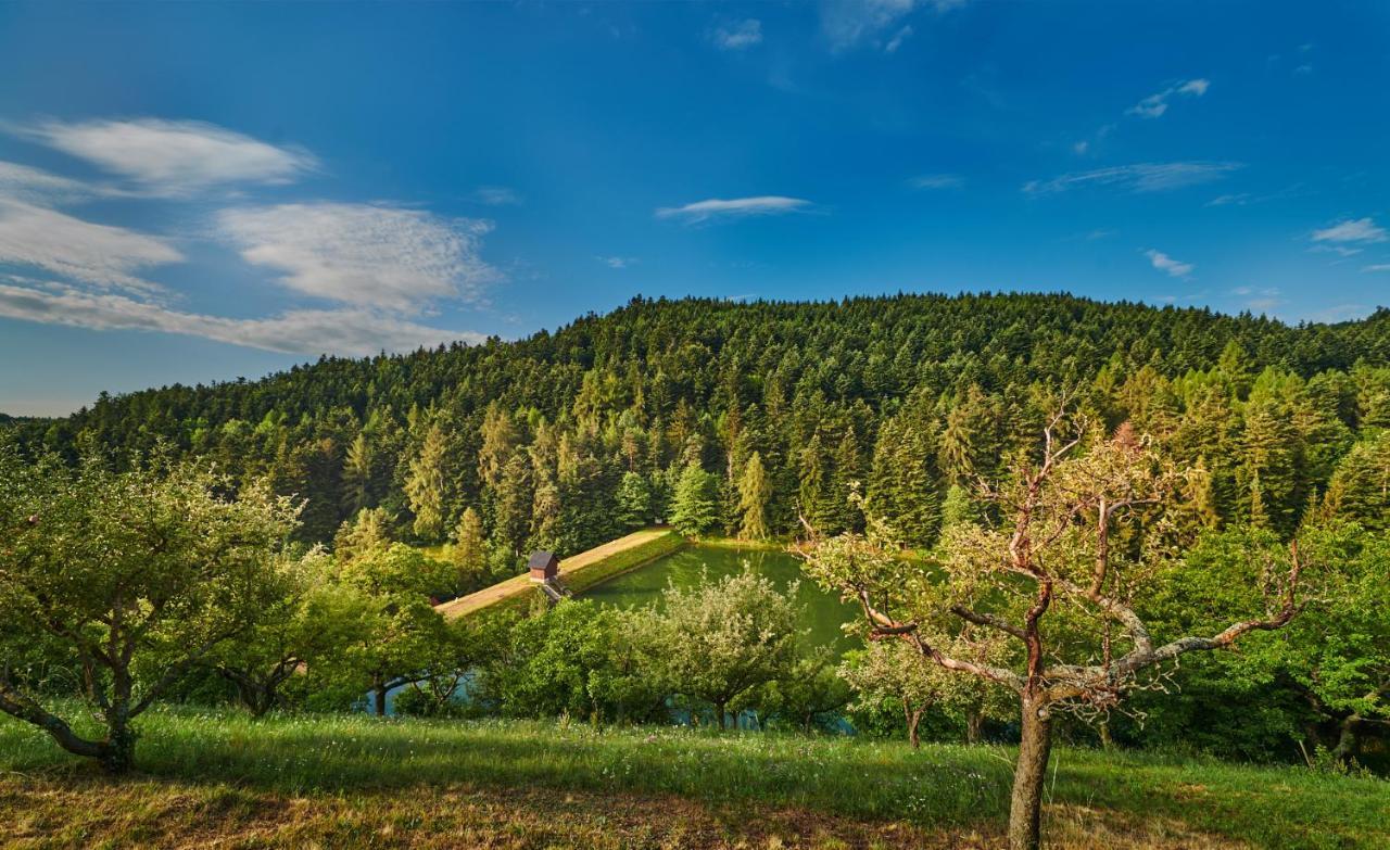 Sad nad Klingerom Pensionat Banská Štiavnica Exteriör bild